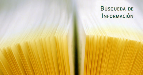 B&uacute;squeda de Informaci&oacute;n